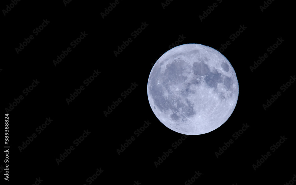 Obraz premium Blue Moon on Halloween Day 2020 also called a hunters moon