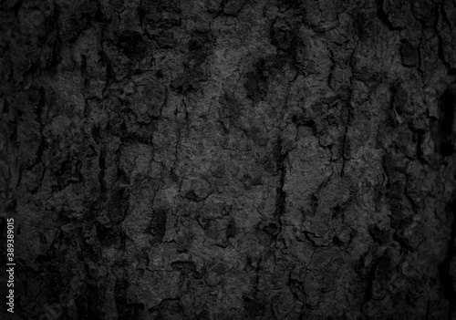  Black old bark background There are cracks, the texture of the old bark makes the natural beauty of the old trees with beautiful bark in the summer.