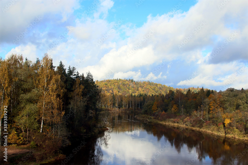 autumn in the forest near the river with blue sky