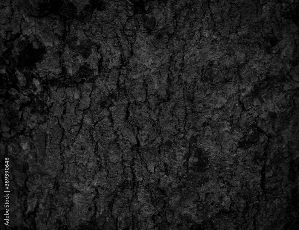 Naklejka premium Black old bark background There are cracks, the texture of the old bark makes the natural beauty of the old trees with beautiful bark in the summer.