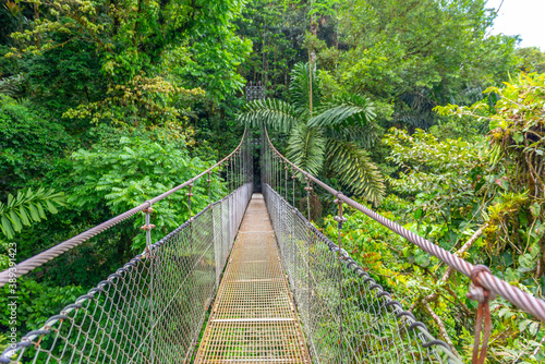 Arenal Hanging Bridges, hiking in green tropical jungle, Costa Rica, Central America.