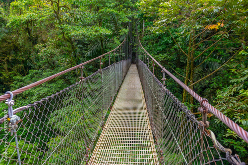 Fototapeta Naklejka Na Ścianę i Meble -  Arenal Hanging Bridges, hiking in green tropical jungle, Costa Rica, Central America.