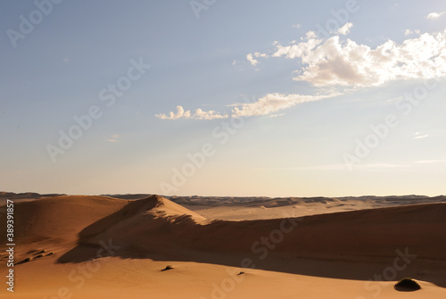 Namib dunes with stretching shadows in the afternoon sun