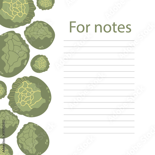 Cookbook page vector template. A place to write recipes. Vector illustration. Cabbage theme