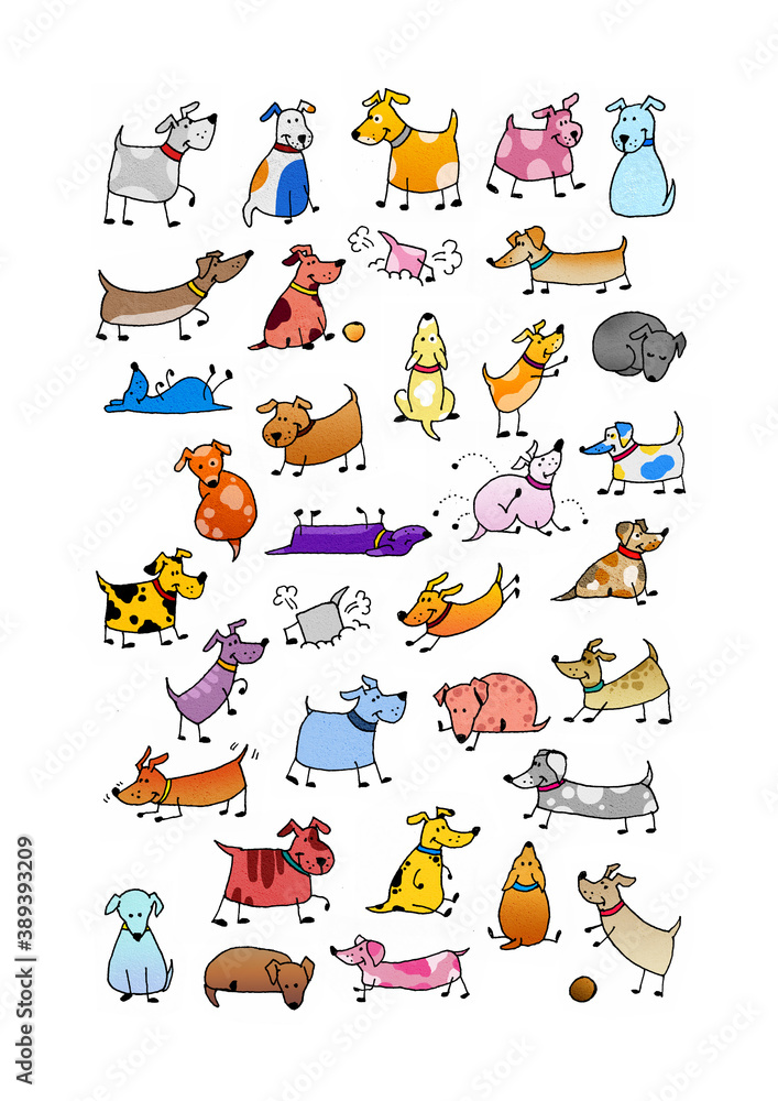 Fototapeta premium Dogs life