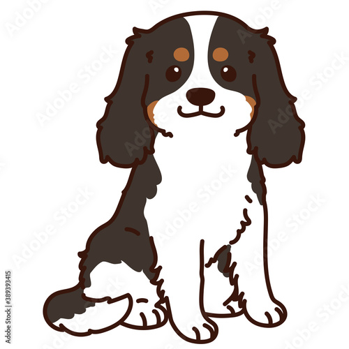 Outlined tricolor Cavalier King Charles Spaniel Sitting