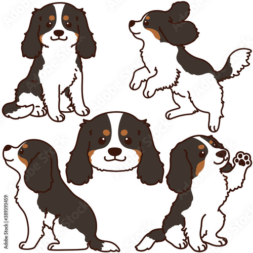 Set of outlined tricolor Cavalier King Charles Spaniel illustrations