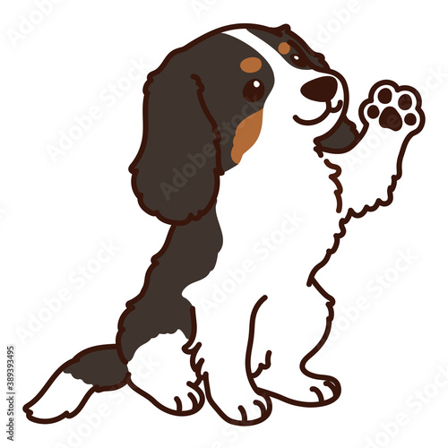 Outlined tricolor Cavalier King Charles Spaniel sitting waving hand