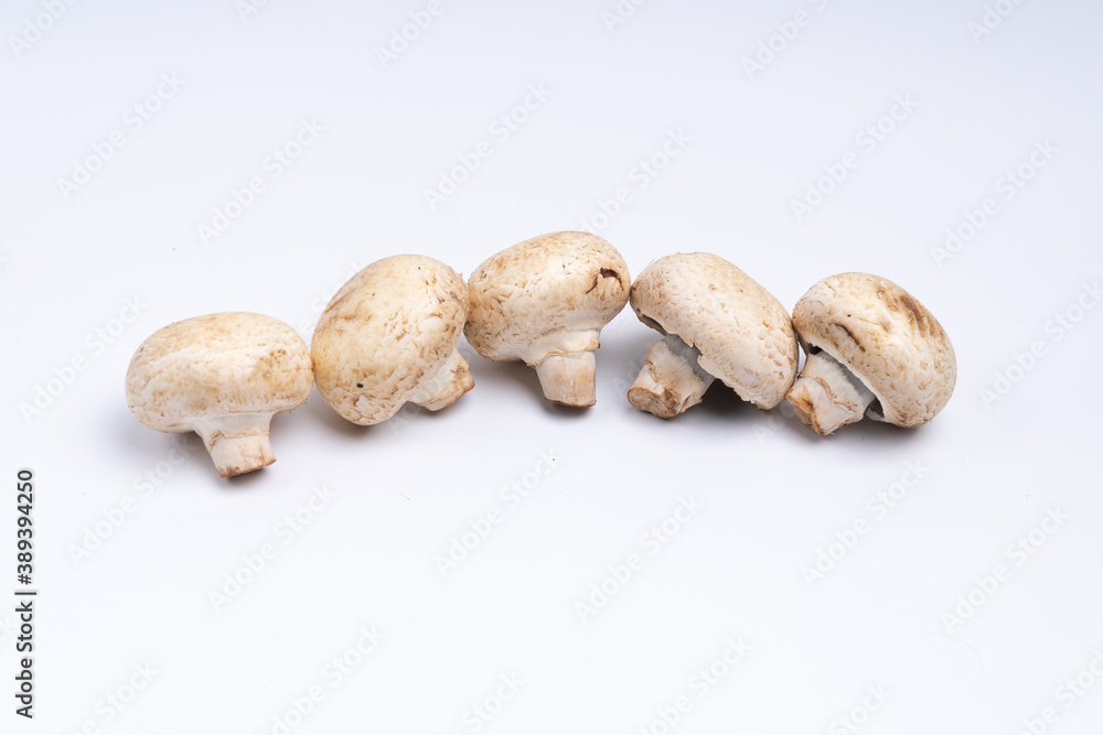 Mushroom Button isolated in white background Mushroom Button isolated in white background