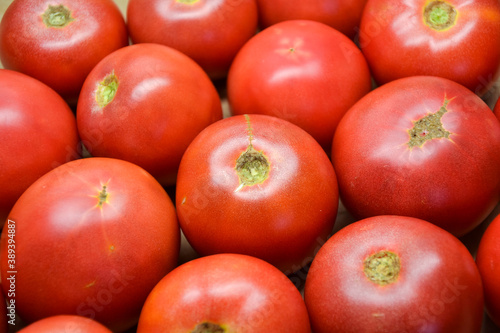 Tomatoes summer harvest. Village garden harvest. Tomatoes from farmers market. Fresh red tomato. Organic vegetables. Salad ingredients.