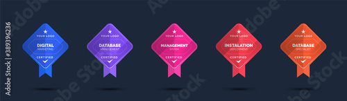 Set of company training badge certificates to determine based on criteria. Standard verified modern colorful vector illustration.