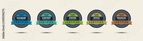 Set of company training badge certificates to determine based on criteria. Standard verified modern vintage colorful vector illustration.