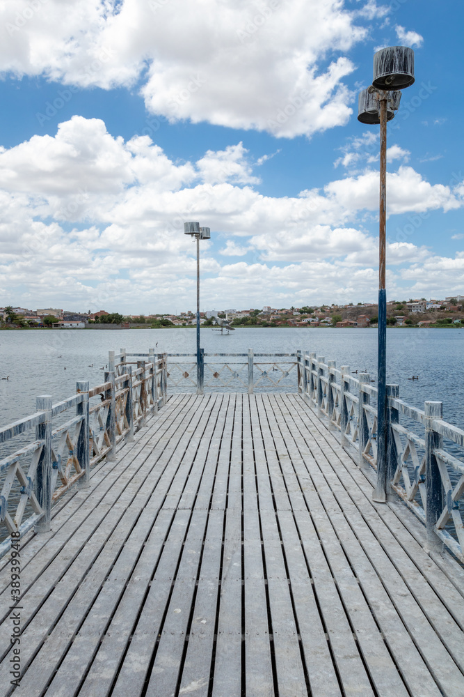 urban lagoon in the interior of Brazil on a sunny day with aquatic birds urban lagoon in the interior of Brazil on a sunny day with aquatic birds