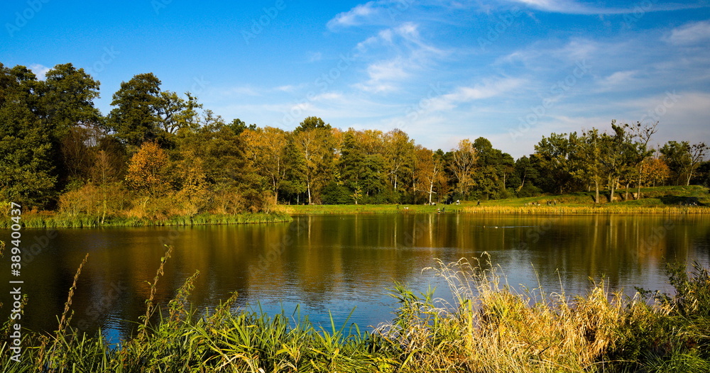 Autumn landscape with lake and trees. Stawy Sefańskiego Łódź Poland - obrazy, fototapety, plakaty 