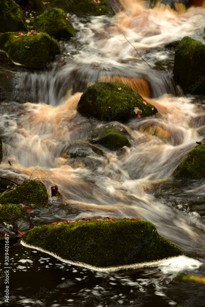 Fototapeta premium Burbage Brook, Padley Gorge, Derbyshire 20 October 2017 UK. Long exposure shot of water passing moss and leaf covered rocks along Burbage Brook in the Derbyshire Peak District, UK