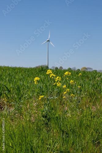View of green meadows and fields with a wind turbine to generate electricity near Freital Dresden,Germany