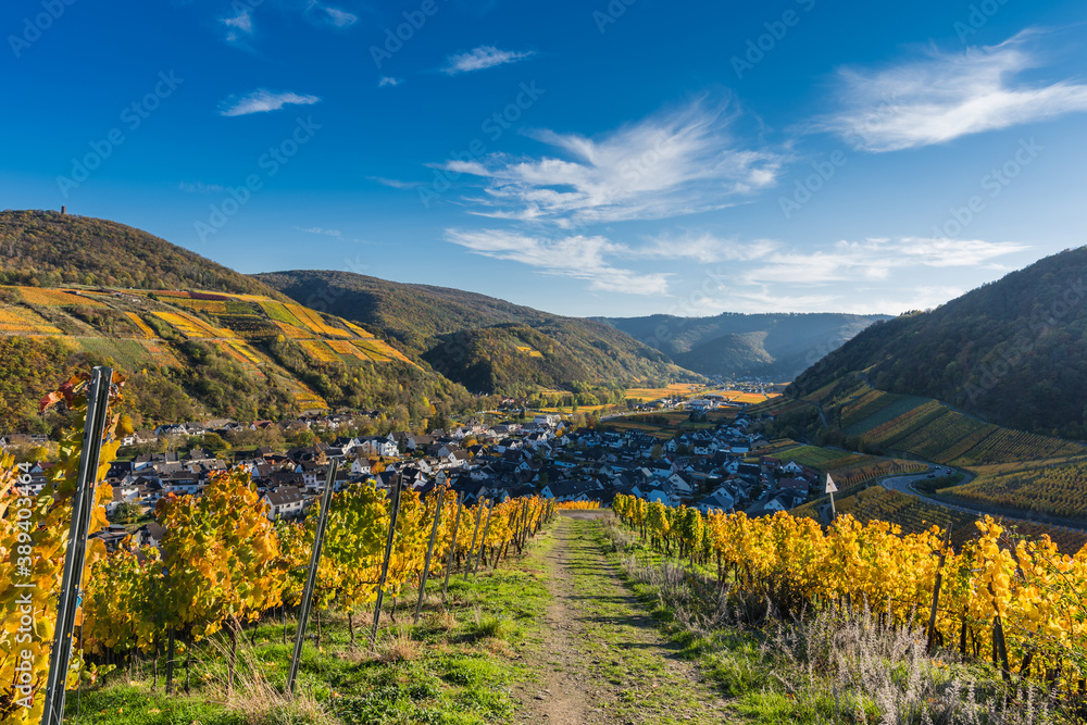 Der Rotweinwanderweg bei Dernau im Goldenen Oktober 2020