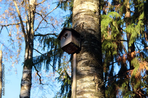 nesting box on tree