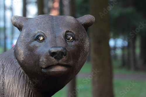 portrait of a bear