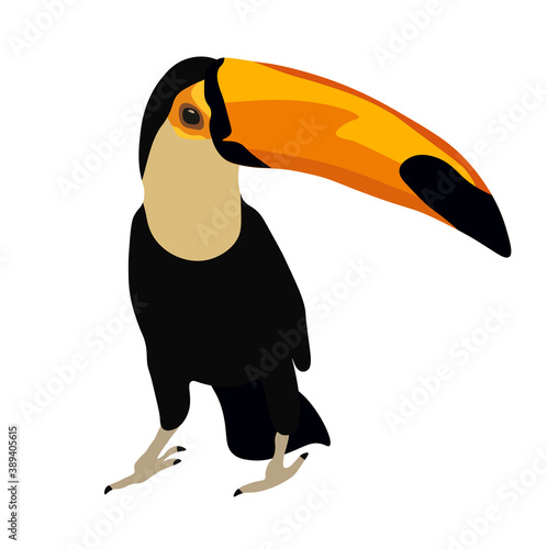 Toucan vector stock illustration. Woodpecker. A bright bird, a big yellow beak. Isolated on a white background. A tropical bird that lives in the jungles of the continent. South America fauna.