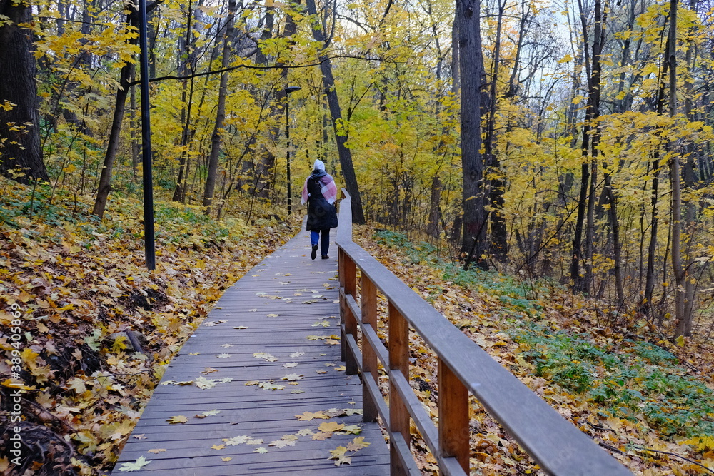 walk in the park