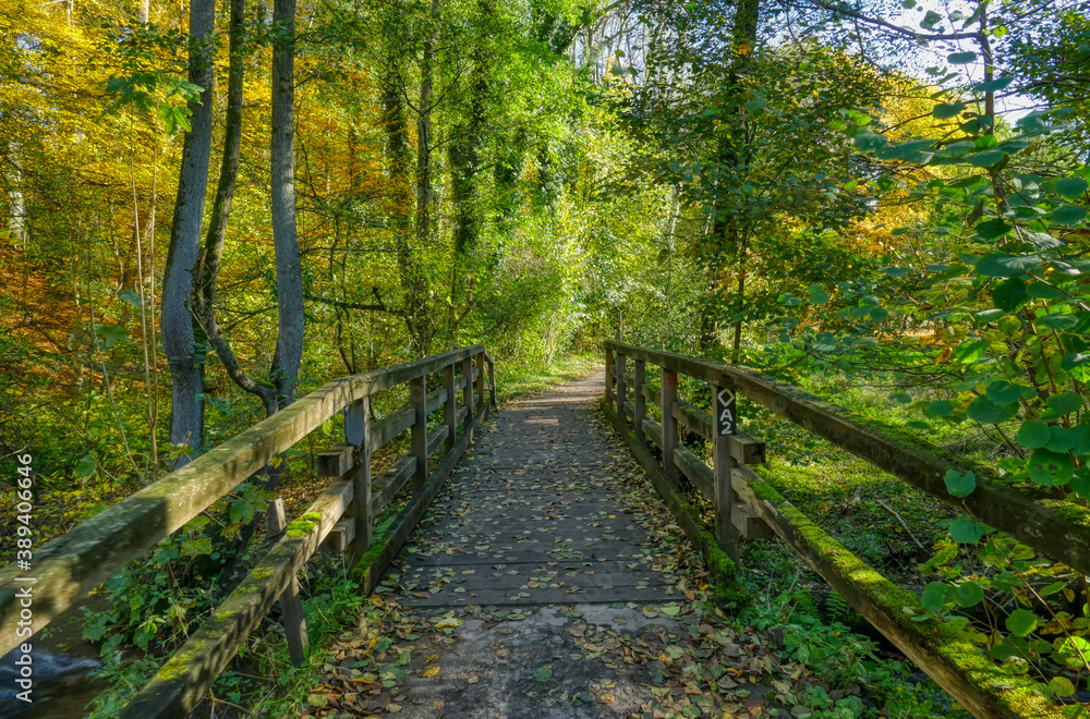 Alte Brücke auf dem Wanderweg bei Haan Alte Brücke auf dem Wanderweg bei Haan