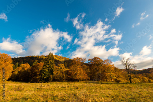 Autumn landscape, beautiful deciduous woods at late autumn, blue sky with white clouds background.