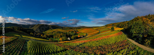 Oktober 2020 Weinberge Bad Neuenahr-Ahrweiler ; Ahrtal ; Indian Summer ;.Foto: Norbert Ittermann.www.norbert-ittermann.de.