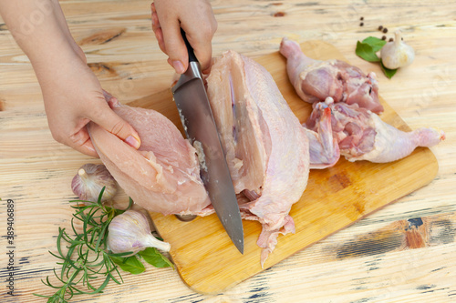 Hands butchering the chicken. Hands of a woman with a knife