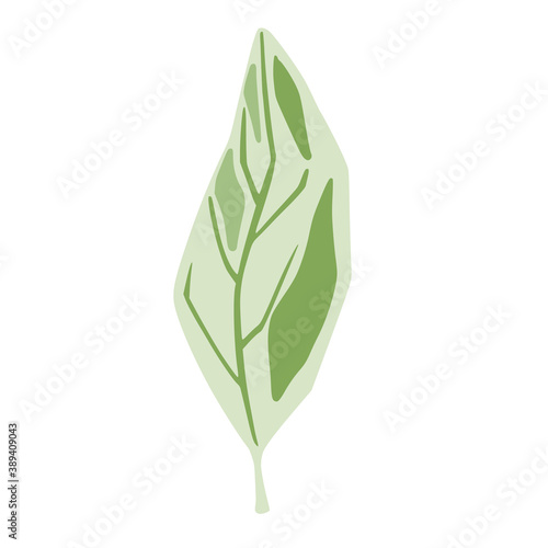 Leaf green color isolated on white background. Scandinavian botanical sketch hand drawn in style doodle.