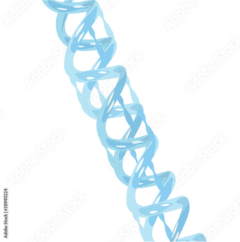 Structure of a helical DNA model 3D vector stock illustration. Close - up isolated on a white background. Hereditary set of x chromosomes in the human genome.