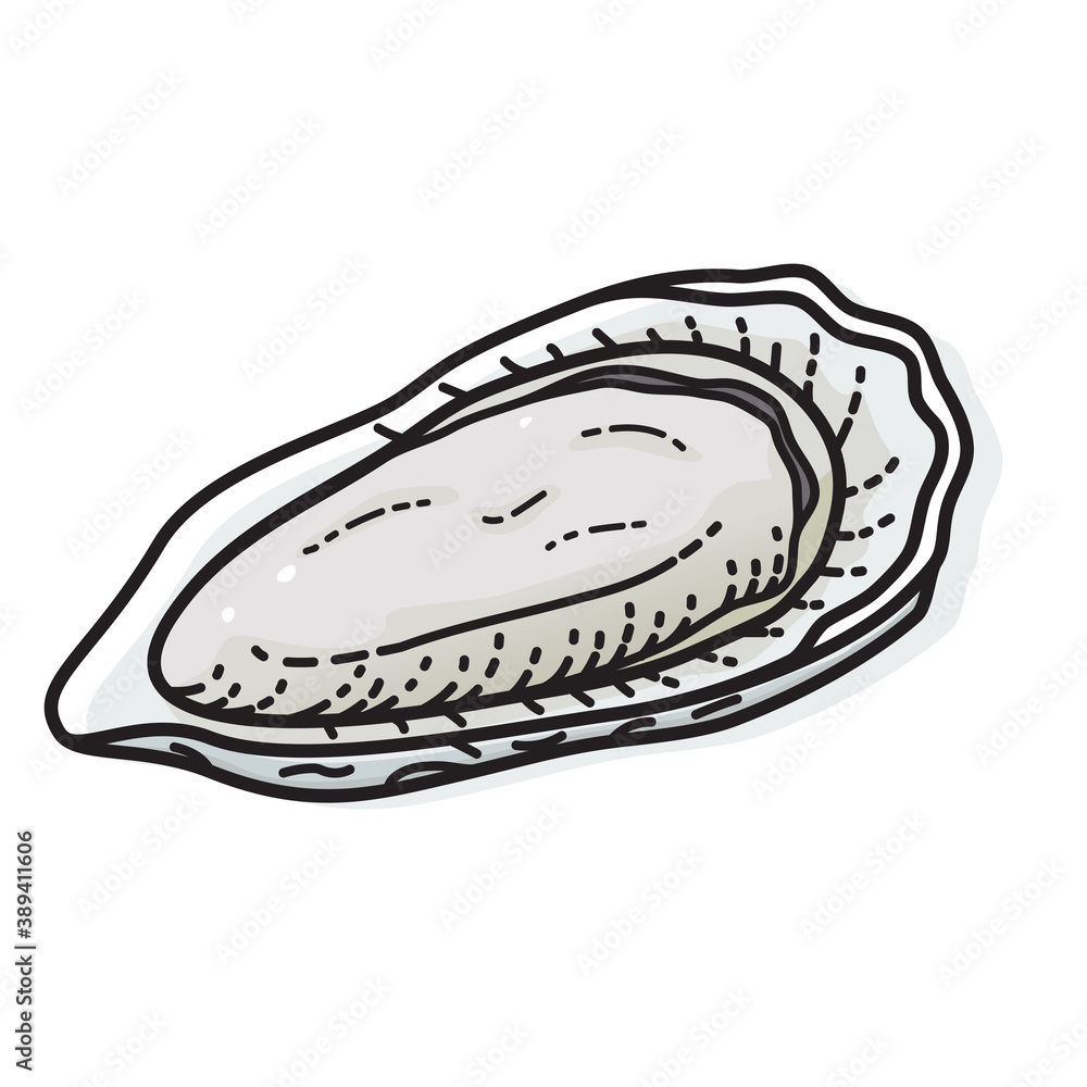 Oyster isolated on white background. Vector illustration of seafood. Oyster isolated on white background. Vector illustration of seafood.