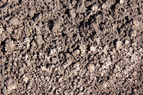 Full frame high angle close-up view of fresh crumbling earth from a gofer hill on the lawn