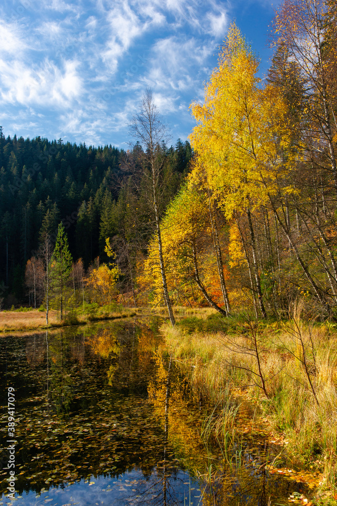 Herbst am Ellbachsee, Schwarzwald