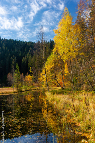 Herbst am Ellbachsee  Schwarzwald