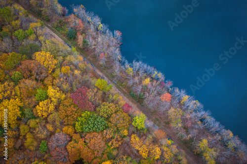 Foliage in Plainsboro New Jersey  © Jin