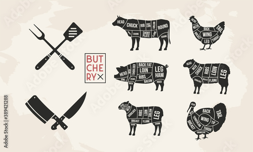 Butcher's guide set. Pig, Lamb, Cow, Chicken, Turkey silhouette cuts. BBQ utensils. Meat diagram. Cuts of Meat. Vector illustration