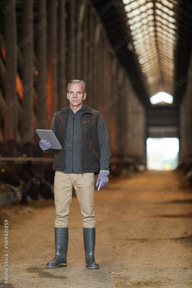 Vertical full length portrait of modern mature man holding digital tablet while inspecting livestock at dairy farm, copy space