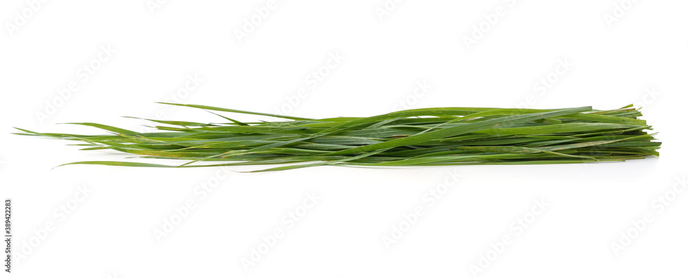 Bunch of green grass. Bunch of green grass.