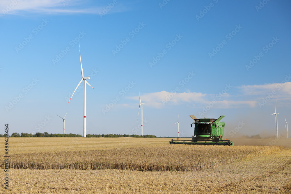 Fototapeta premium Modern combine harvester working in agricultural field
