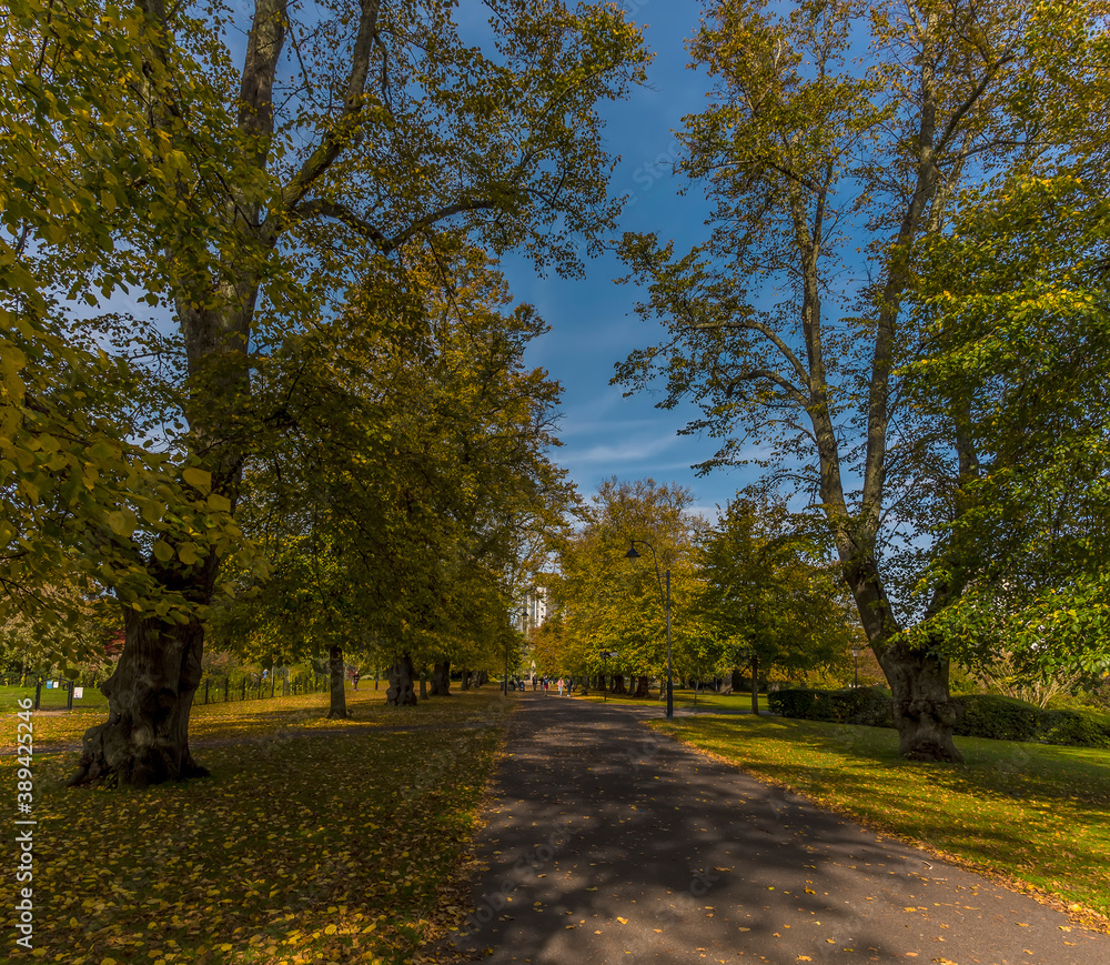 A view across Palmerston Park in Southampton, UK in Autumn