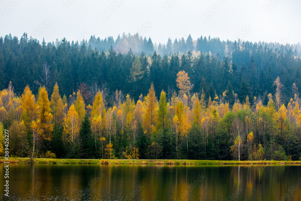 View on forest near lake in autumn in Poland on border with Czech Republic