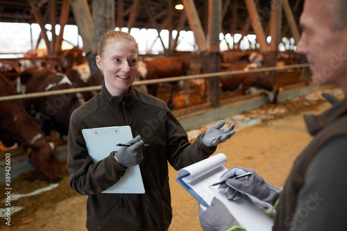 Canvas Print High angle view at two workers talking while standing in livestock shed at famil