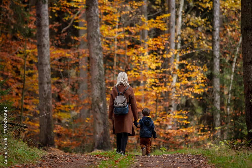 mother and son walk through the forest in autumn mother and son walk through the forest in autumn