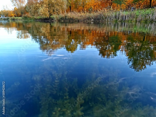 Wallpaper Mural autumn in the park Torontodigital.ca