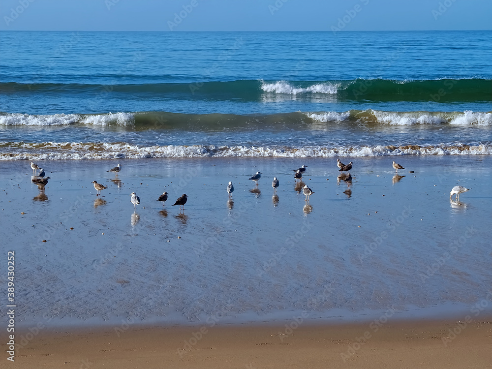 Hinking at the beach of Praia Maria Luisa, Olhos da Agua, Albufeira, at the Algarve coast of Portugal