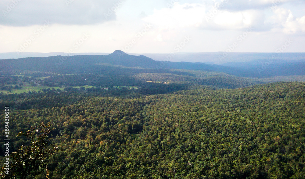 Fototapeta premium landscape in the morning with foggy weather conditions, nature photography