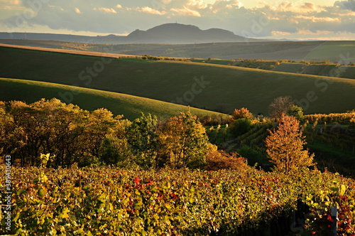 Autumn landscape with Palava mountain