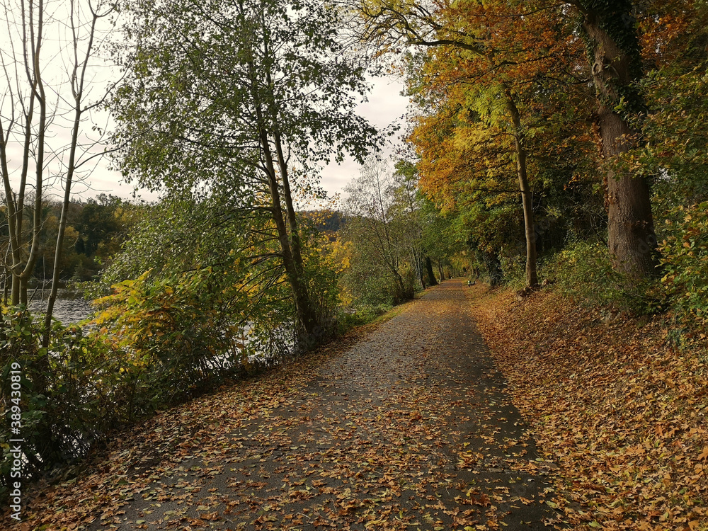 cycling path along the river Ruhr in Essen, Germany
