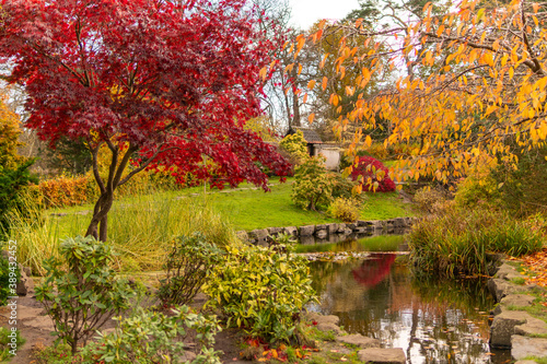 autumn colours in the park